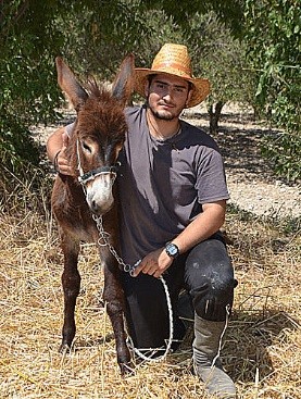 Vasilis Vasilis