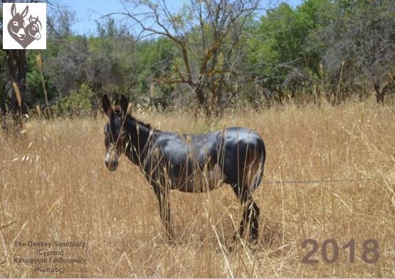 2018 Calendar 2018 Calendar